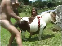 three girls with pony ap [ Free Animal Porn Film ]