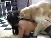 two zoo k9 girls for a dog