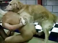 two zoo k9 girls with a hot dog