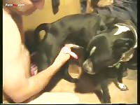 urbating male pitt buddy