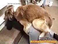 video2