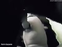 vintage dog fucking