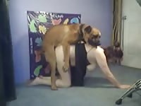 wife fucked hard turn on sound [ Extrem Animal Sex ]