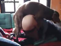wild sex with her dog