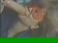 [Horse Porn Movie: Bestiality Porn ] woman fuck horse2