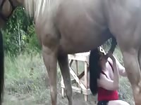 Gostosa