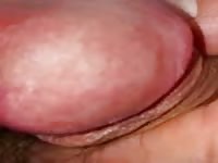 Meine penis schwanz Bilder im Internet xyz1
