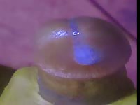 See my throbbing cock cums