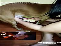 Food And Bestiality Semen DOG FOOD