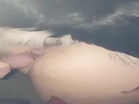 Big dog cum