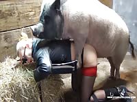 NEW BESTIALITY MILF MOVIE IN THE WORLD BEST EVER COLLECTION 