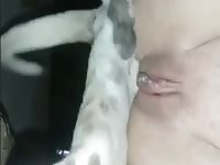 fuck