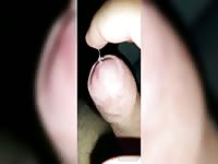 Meine penis schwanz bilder im internet x4