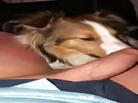 Never too late for a blowjob 