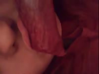 licking and sucking