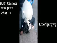Chinese teen girl FUCKed with a dog in a square