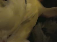 Good Boy Gets Handjob