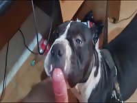 Big girl loves the taste