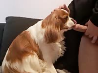 Teen fucks dog in throath and cums