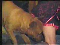Teen got banged hard by dog's erected cock