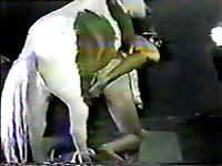 Big horse dick banging a petite slut