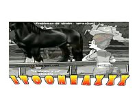 Beastiality cartoon of slut having horse sex