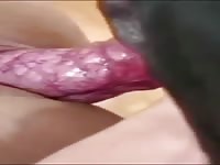 Anal
