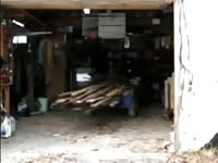 Silver Fox Strokes Wood at the Sawmill