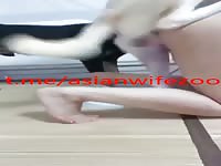 Chinese zoo porn 3