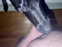 Man loves his dog