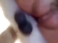 Sexy teen with dog 