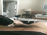 Moms dog licks her yng teen boy while she&rsquo;s at work 