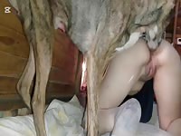 I have sex with my dog 