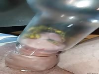 Bizarre cbt insertion bdsm pervers wasp