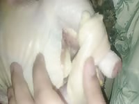 Raw chicken made me hard bitch