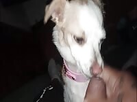 Slowmo cum 