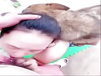 asian threesome bestiality porn