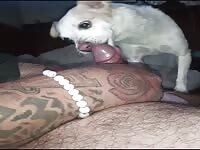 Blowjob Cum 