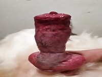 I need that thick pulsing canine cock inside me 🤤🍆