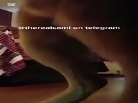 intense dog fuck session