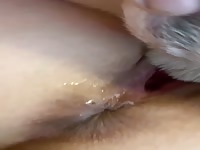 missionary doggy fuck