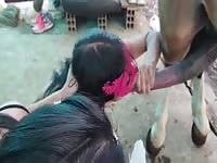 Chicks getting facefucked by a horse compilation