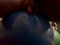 Dog licks cock and cum while riding yoga ball. 