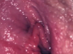 Almo369