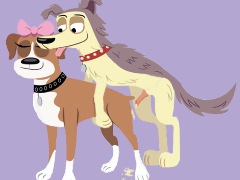 DogSap2026