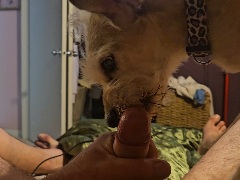 Scorpioguy78