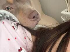 Pollywolly
