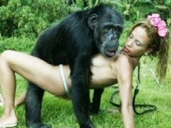Zoo Porn Other